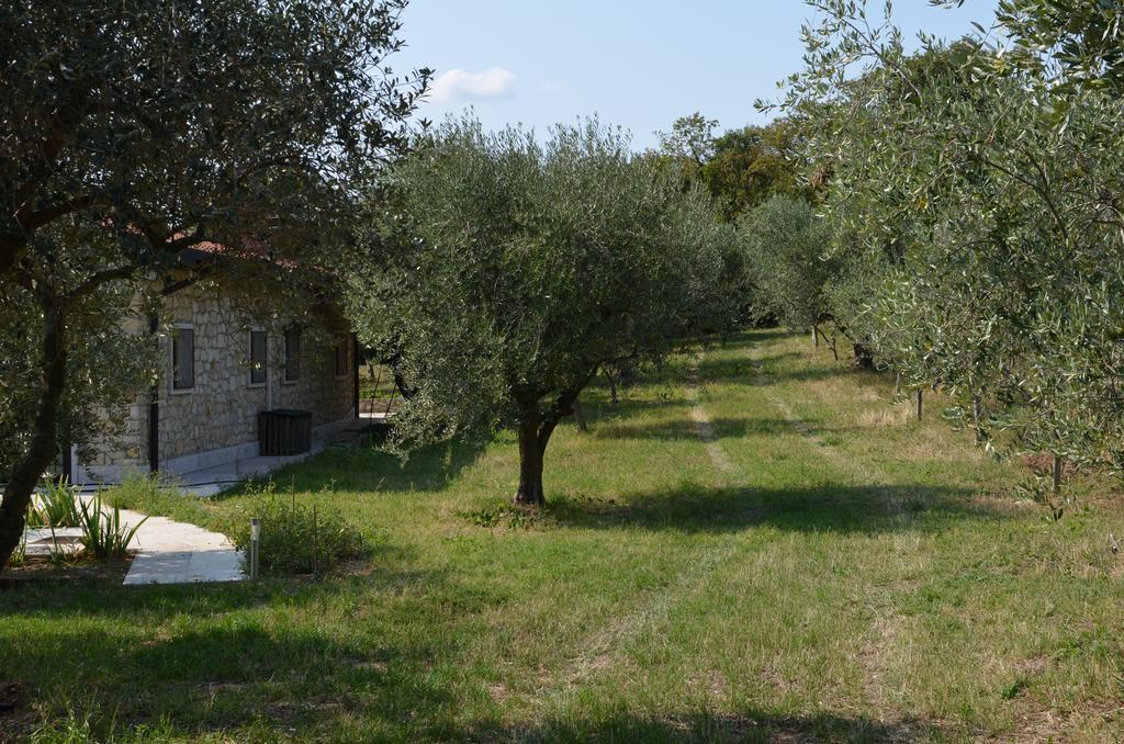 Agriturismo Bosco Magico Verona Exterior foto