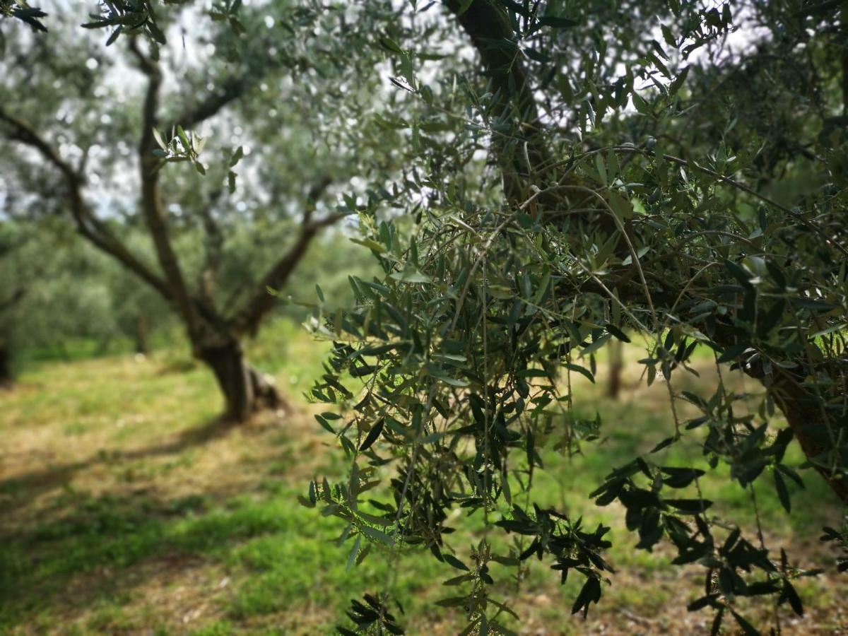 Agriturismo Bosco Magico Verona Exterior foto